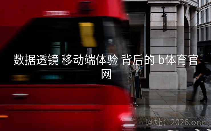 数据透镜 移动端体验 背后的 b体育官网