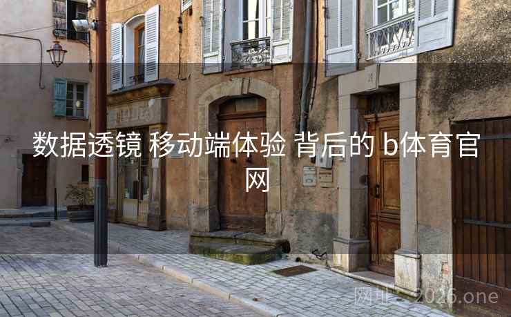 数据透镜 移动端体验 背后的 b体育官网