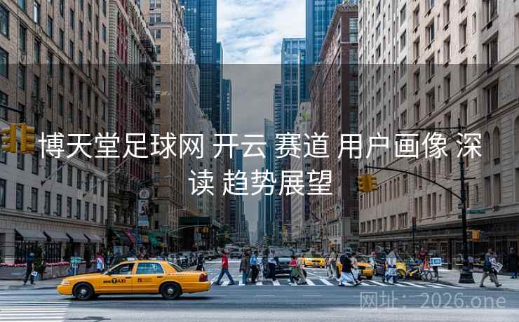 博天堂足球网 开云 赛道 用户画像 深读 趋势展望