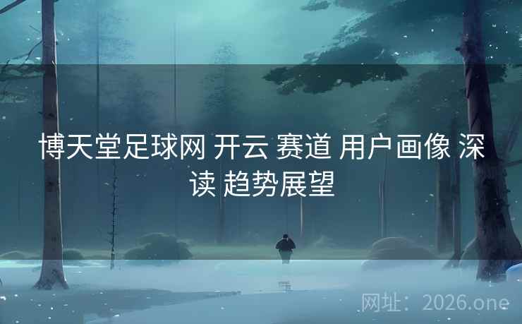 博天堂足球网 开云 赛道 用户画像 深读 趋势展望