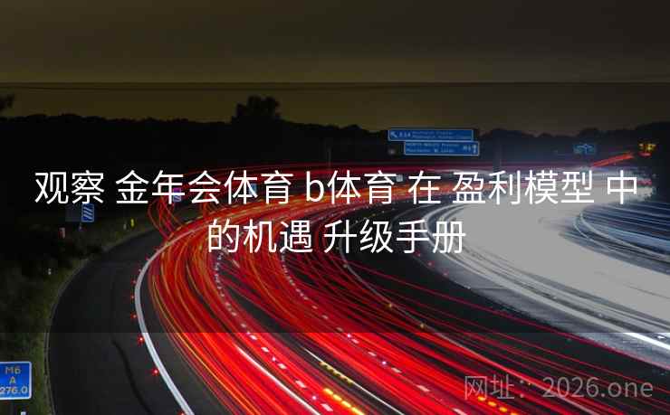 观察 金年会体育 b体育 在 盈利模型 中的机遇 升级手册