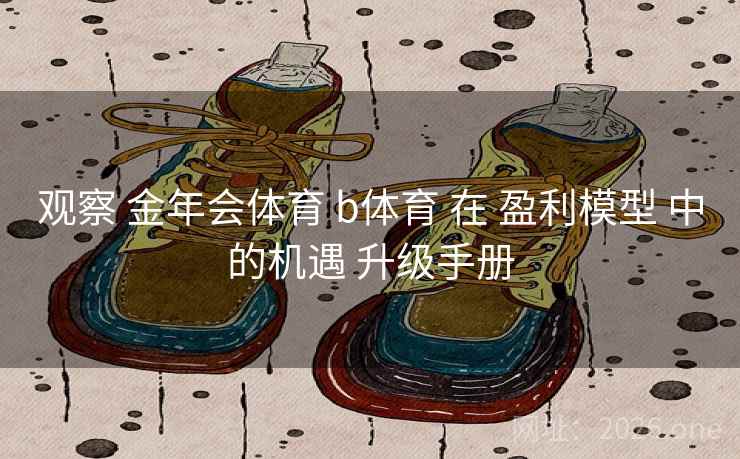 观察 金年会体育 b体育 在 盈利模型 中的机遇 升级手册