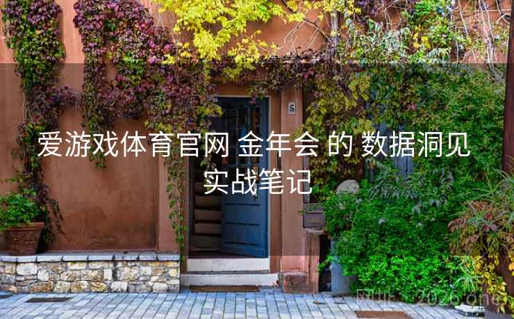 爱游戏体育官网 金年会 的 数据洞见 实战笔记