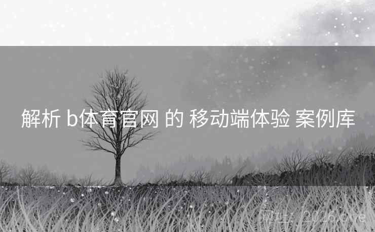 解析 b体育官网 的 移动端体验 案例库
