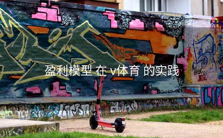 盈利模型 在 v体育 的实践