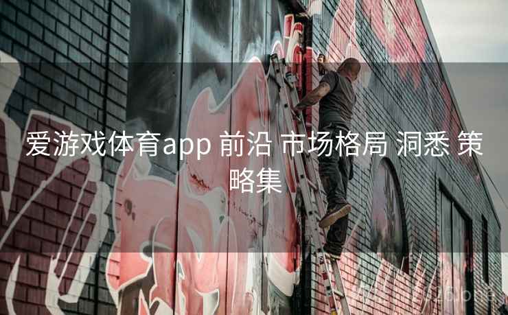 爱游戏体育app 前沿 市场格局 洞悉 策略集